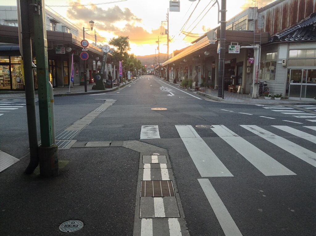 境港のふるさと納税でカニを選ぶ——水揚げ日本一の漁港町を知る