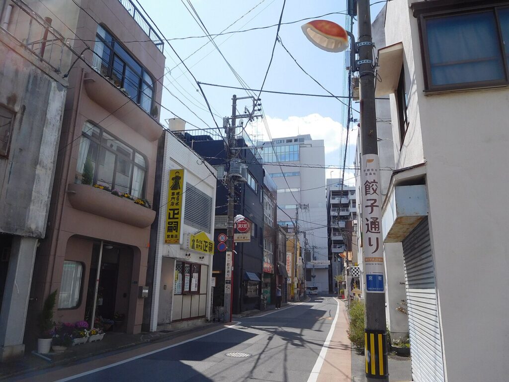 宇都宮餃子のお取り寄せで人気の選び方|餃子のまちの町おこし